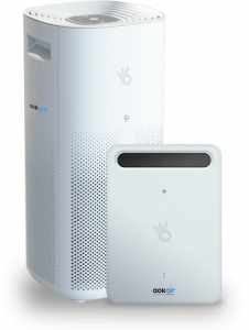 Do I need an air purifier in India?