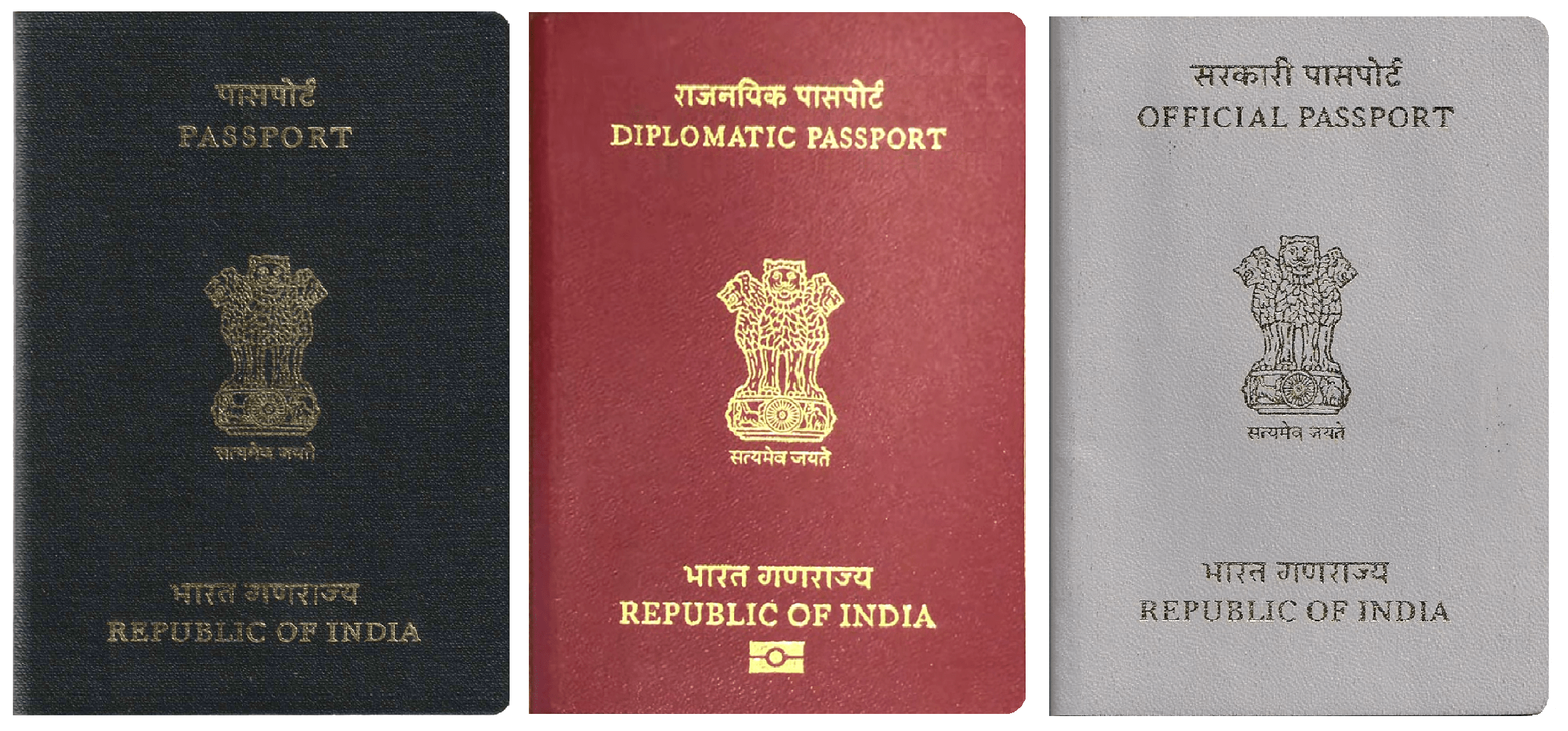 Learn about the e-passport, which was announced in the budget