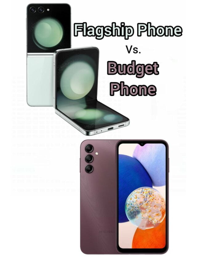 Budget Smartphone vs Flagship Smartphone